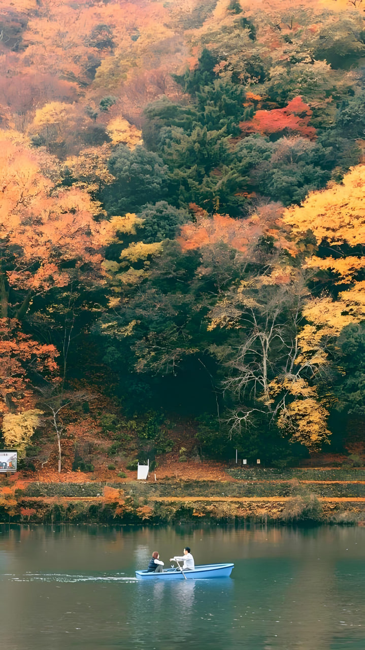经典电影5